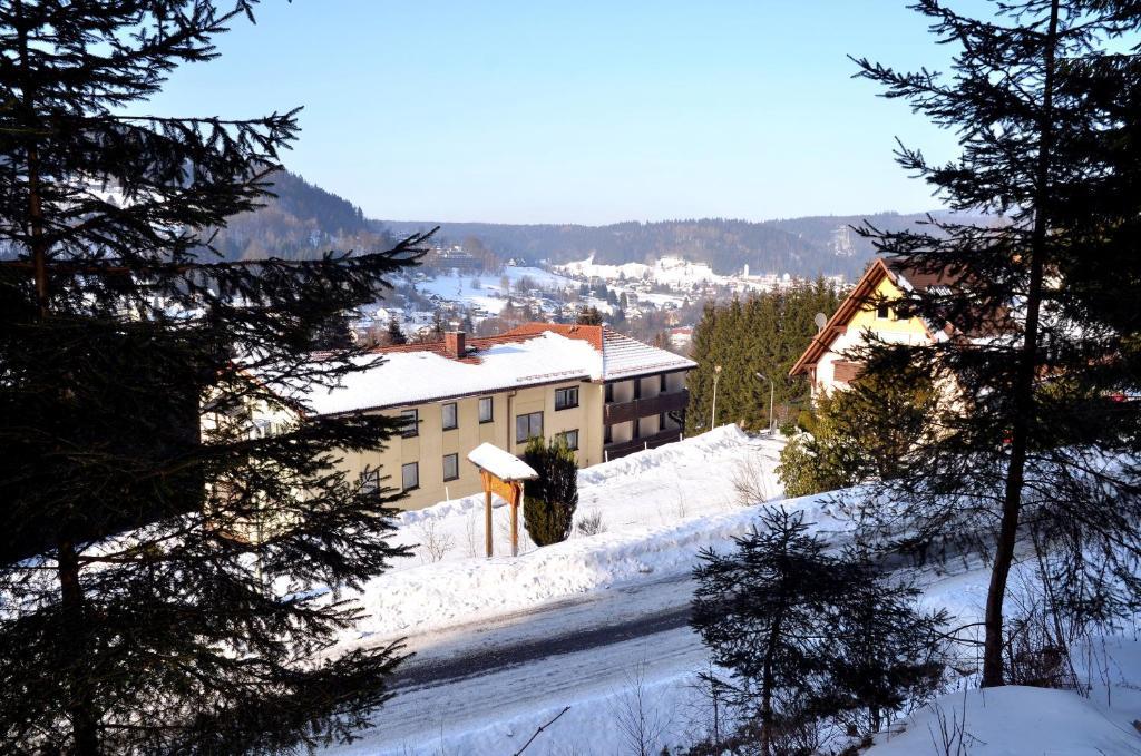 Hotel Pension Waldbaude Warmensteinach Zewnętrze zdjęcie
